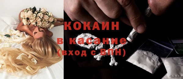 соль ск Алексин