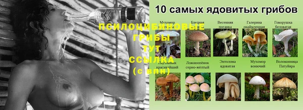 Альфа ПВП Армянск