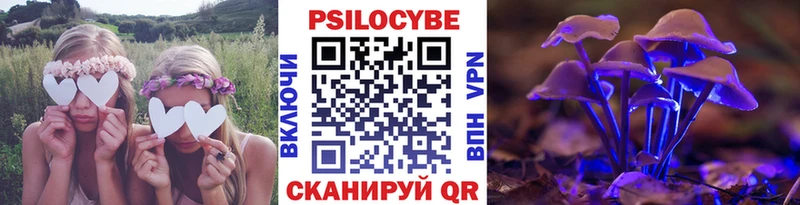 Галлюциногенные грибы прущие грибы  Рыбное 